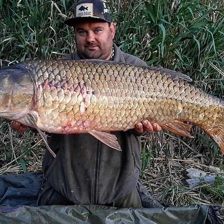 R U Ready Fishing, River Ebro Mequinenza Ngoại thất bức ảnh