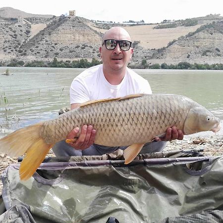 R U Ready Fishing, River Ebro Mequinenza Ngoại thất bức ảnh