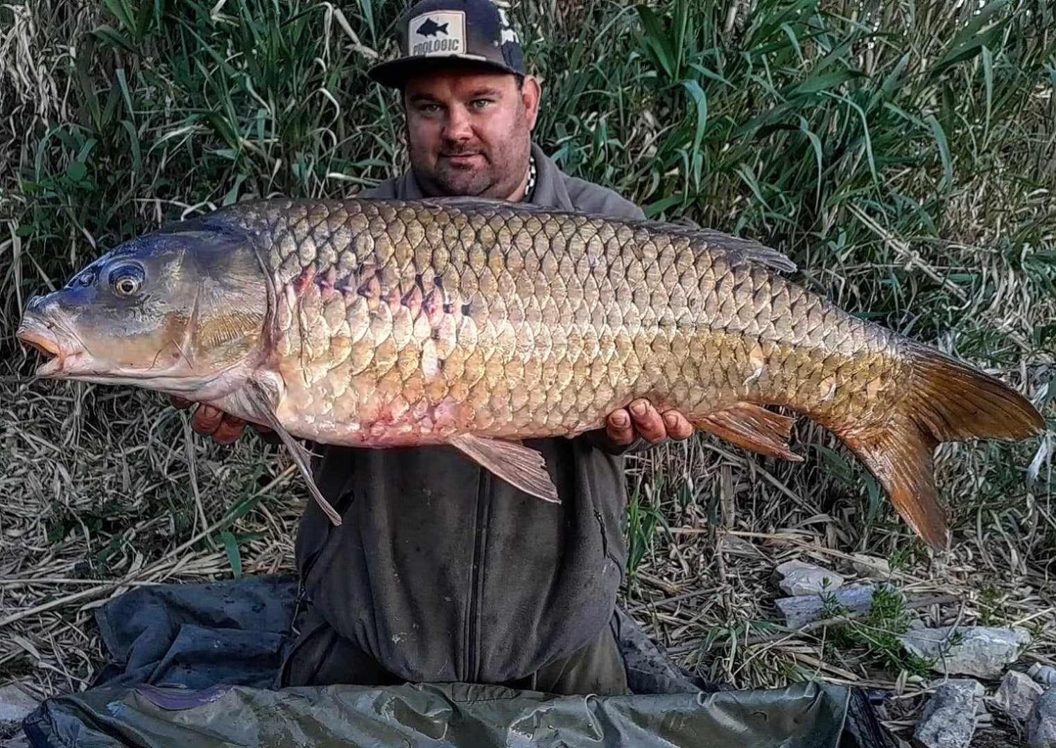 R U Ready Fishing, River Ebro Mequinenza Ngoại thất bức ảnh